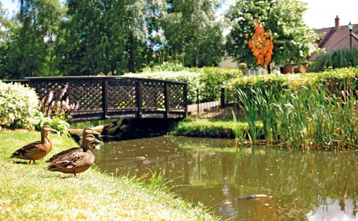 Lime Tree Village Retirement Villages In Warwickshire Gardens With Ducks