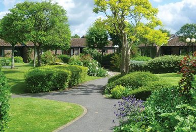 Investing in the Future of Elmbridge Village