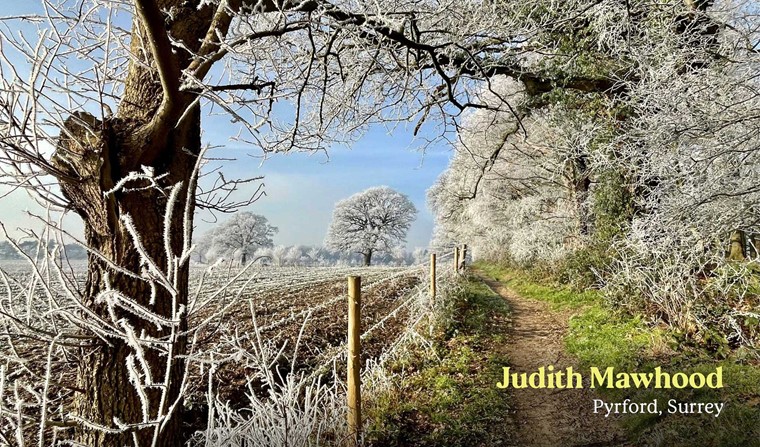 March Judith Mawhood Pyrford Surrey
