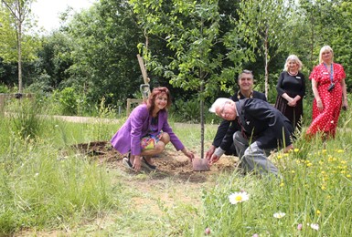 Gradwell Park plants a new tree for the ‘Queen’s Canopy’