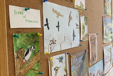 Local Wildlife Inspires Art Club at Avonpark