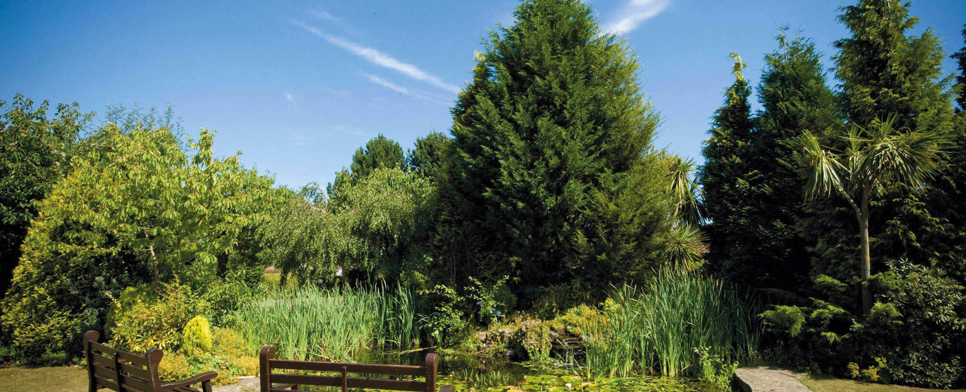 Elmbridge Retirement Villages In Cranleigh Allotments Eating Area Around Pond