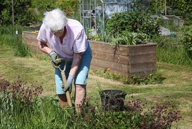 Allotments come into their own in a retirement village