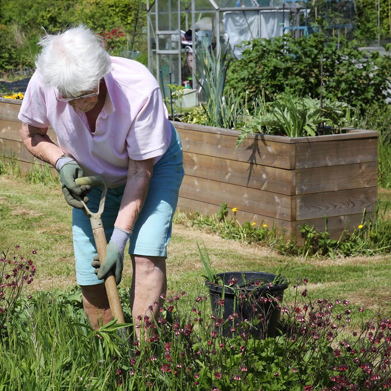 Elmbridge Retirement Villages In Cranleigh Allotments Gardening (1)