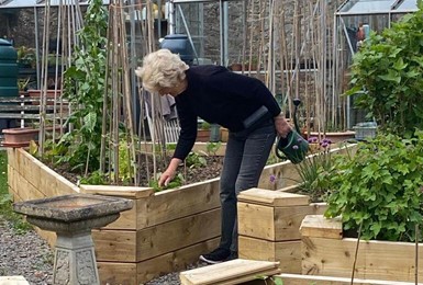 Raised beds for residents to tend