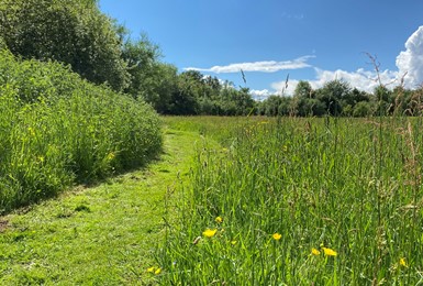 Butterfly Meadow Walk at Elmbridge Village