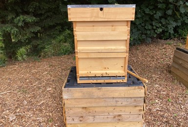 The bees arrive at Charters Village
