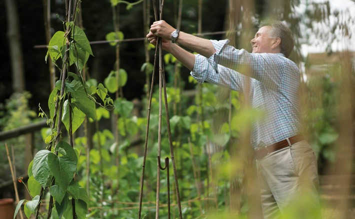 Avonpark Retirement Villages In Wiltshire Allotments In Garden