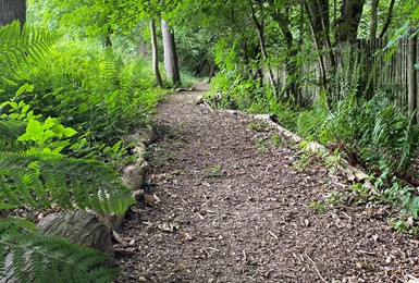 Residents build woodland walk on the village grounds